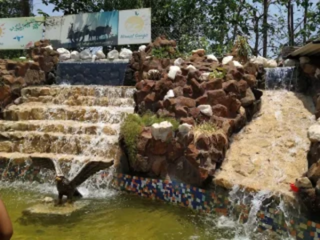 untitled design 2026 02 20t111811.823