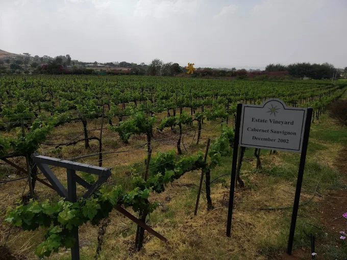 Sula Vineyards